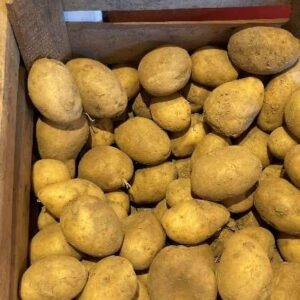 Patata