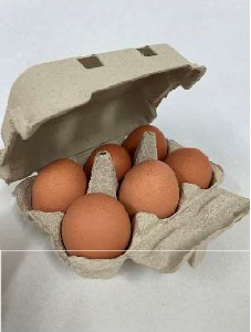 Ous de gallina